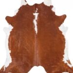 Brazilian Brown and White Cowhide Rug Size 8'4 L x 7'11 W 8965