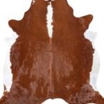 Brazilian Hereford Cowhide Rug Size 7'4 L x 6'10 W 8370