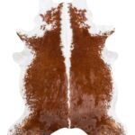 Brazilian Hereford Cowhide Rug Size 7'10 L x 6'5 W 6702