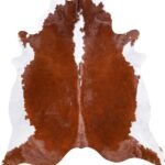 Brazilian Hereford Cowhide Rug Size 7'11 L x 7'6 W 6720