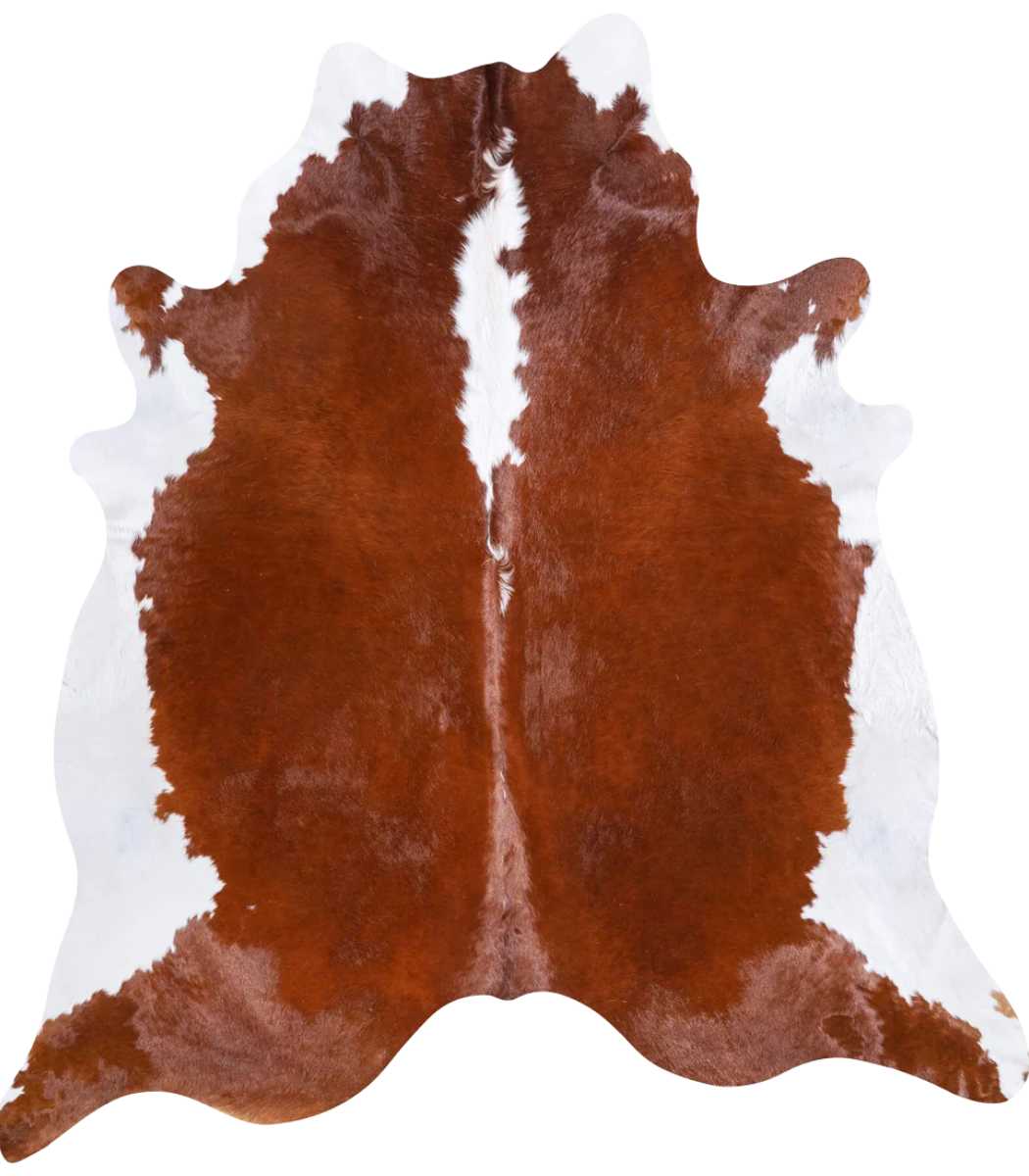 1 Brazilian Hereford Cowhide Rug Size 7'11 L x 7'6 W 6720 - Image 1