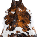 Tricolor Brindle Mix Cowhide Rug Size 8'0 L x 6'8 W 8187