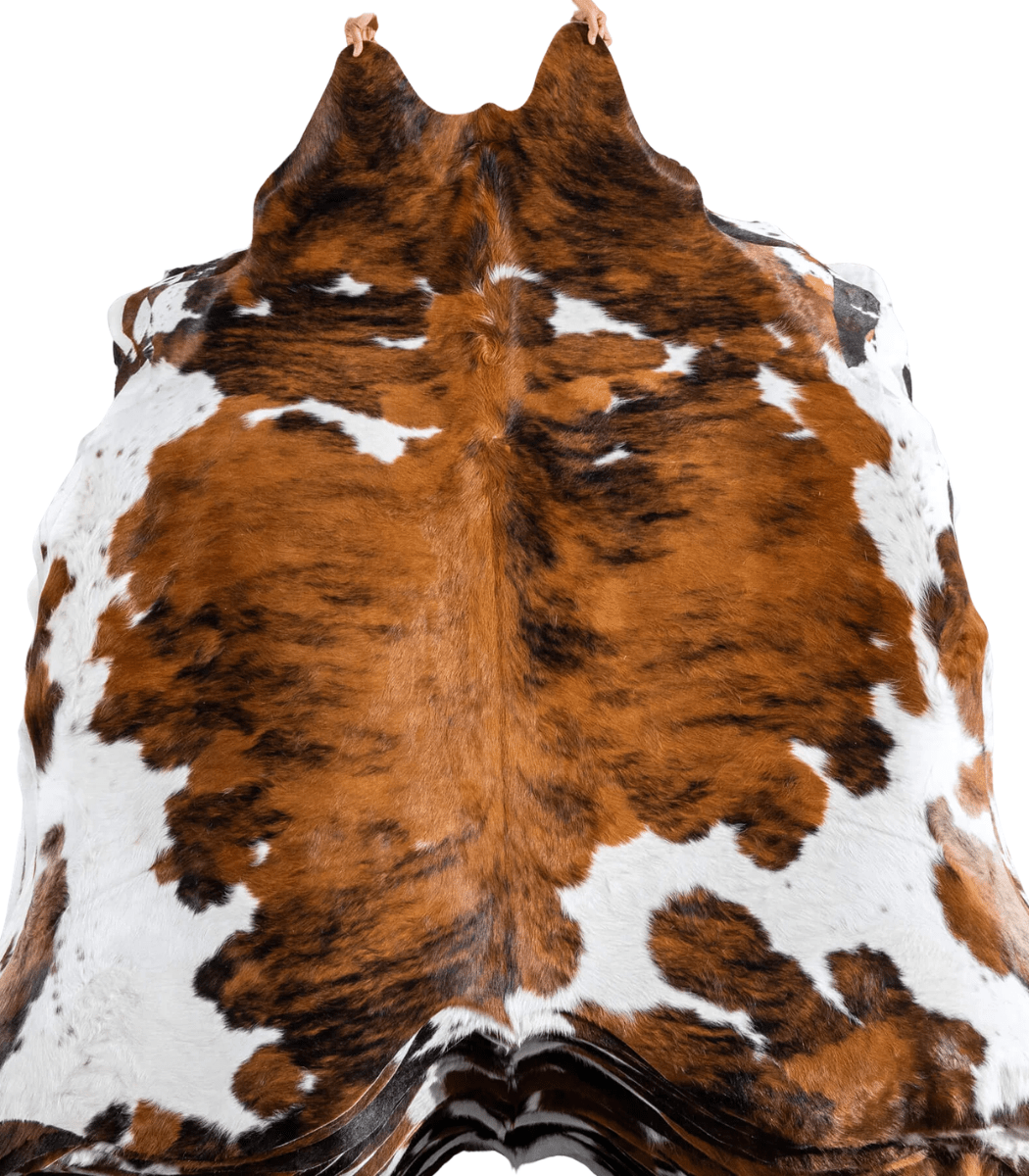 1 Tricolor Cowhide Rug Size 6'11 L x 6'11 W 8170 - Image 1
