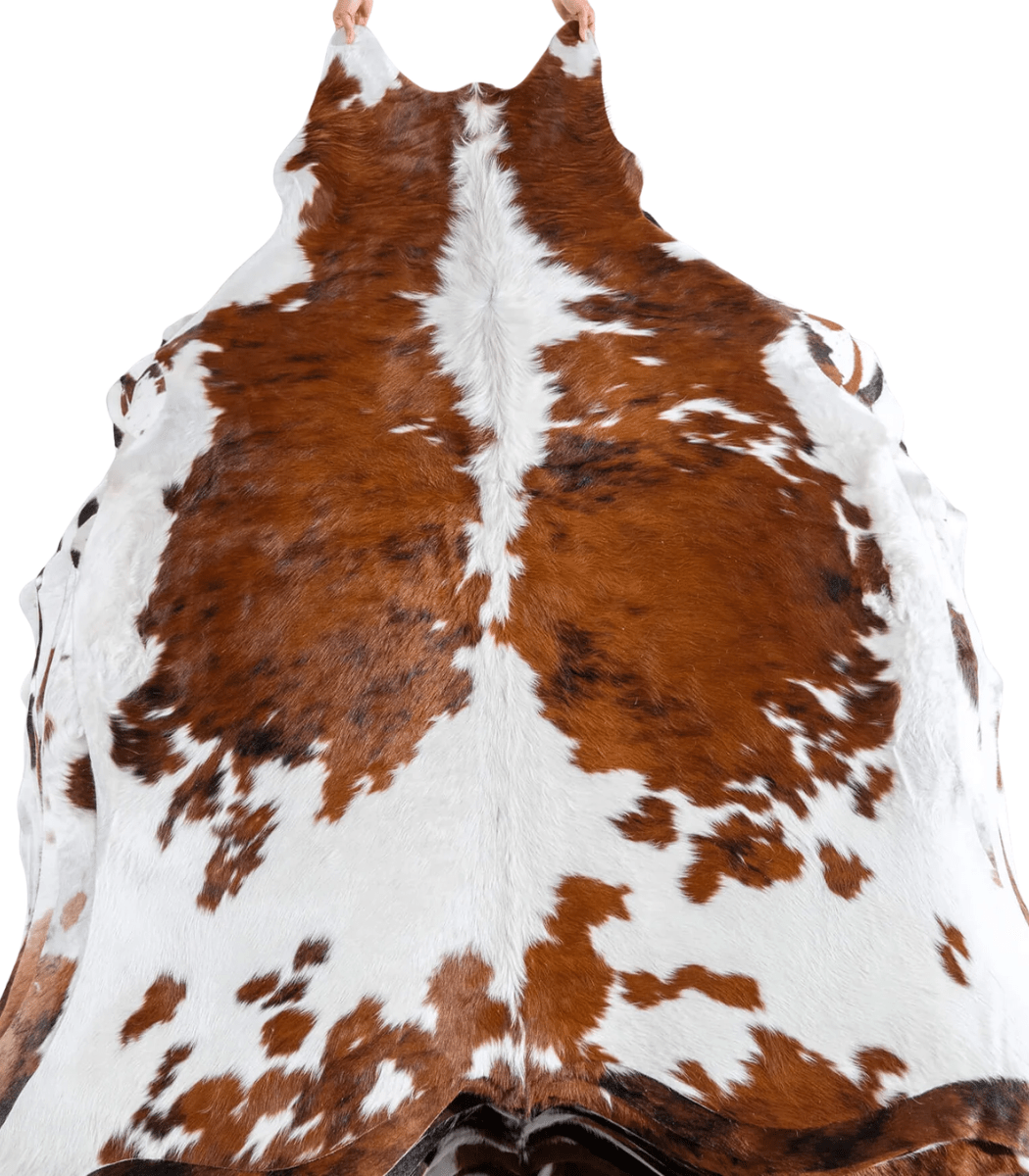 1 Tricolor Cowhide Rug Size 7'5 L x 6'1 W 8150 - Image 1