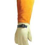 16 Primary Protector