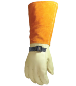 16 Primary Protector