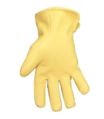 10 Secondary Protector - Image 2