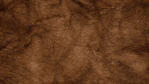 Top Grain Leather