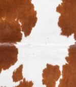 Brazilian Brown and White Cowhide Rug Size 6'11 L x 6'1 W 8355 - Image 3