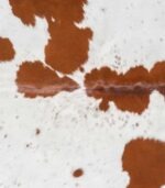 Brazilian Brown and White Cowhide Rug Size 7'6 L x 6'9 W 9073 - Image 3