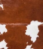 Brazilian Brown and White Cowhide Rug Size 7'9 L x 6'9 W 7696 - Image 3