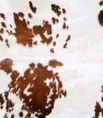 Brazilian Brown and White Cowhide Rug Size 8'1 L x 7'2 W 6012 - Image 3