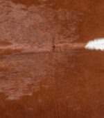 Brazilian Hereford Cowhide Rug Size 7'4 L x 6'10 W 8370 - Image 3