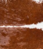 Brazilian Hereford Cowhide Rug Size 7'10 L x 6'5 W 6702 - Image 3