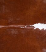 Brazilian Hereford Cowhide Rug Size 7'11 L x 7'6 W 6720 - Image 3