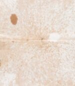 Brazilian Palomino and White Cowhide Rug Size 7'1 L x 6'10 W 9209 - Image 3