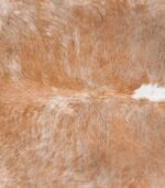 Brazilian Palomino and White Cowhide Rug Size 7'11 L x 6'9 W 4513 - Image 3