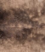 Brazilian Palomino and White Cowhide Rug Size 8'1 L x 7'0 W 8929 - Image 3