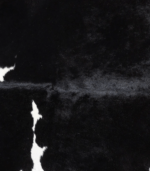 Black and White Cowhide Rug Size 7'9 L x 6'9 W 9259 - Image 3