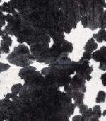 Black and White Cowhide Rug Size 8'3 L x 7'1 W 9376 - Image 3