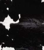 Black and White Cowhide Rug Size 8'3 L x 7'7 W 9264 - Image 3