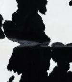 Brazilian Black and White Cowhide Rug Size 6'10 L x 5'8 W 7259 - Image 3