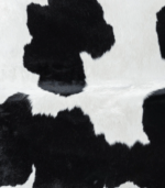 Brazilian Black and White Cowhide Rug Size 7'1 L x 6'5 W 7651 - Image 3