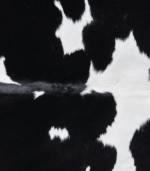 Brazilian Black and White Cowhide Rug Size 7'6 L x 6'0 W 8883 - Image 3