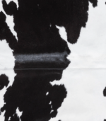 Brazilian Black and White Cowhide Rug Size 7'6 L x 6'10 W 8917 - Image 3