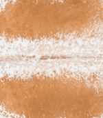 Brazilian Palomino and White Cowhide Rug Size 6'8 L x 5'11 W 9206 - Image 3