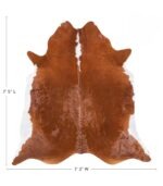 Brazilian Brown and White Cowhide Rug Size 7'5 L x 7'2 W 8938 - Image 4