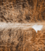 Tricolor Brindle Mix Cowhide Rug Size 7'2 L x 7'2 W 8181 - Image 4