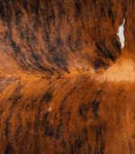 Tricolor Brindle Mix Cowhide Rug Size 7'3 L x 6'6 W 8107 - Image 4