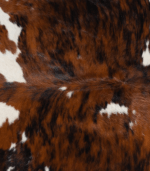 Tricolor Brindle Mix Cowhide Rug Size 7'6 L x 6'3 W 8202 - Image 4