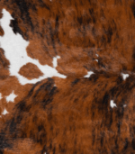 Tricolor Brindle Mix Cowhide Rug Size 8'2 L x 6'11 W 8218 - Image 4