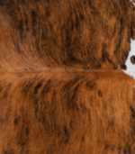 Tricolor Brindle Mix Cowhide Rug Size 8'4 L x 6'5 W 8273 - Image 4