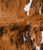 Tricolor Cowhide Rug Size 6'11 L x 6'11 W 8170 - Image 3