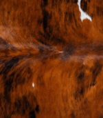 Tricolor Cowhide Rug Size 7'5 L x 6'6 W 8199 - Image 4