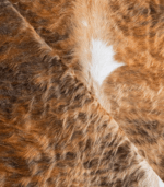 Tricolor Brindle Mix Cowhide Rug Size 7'2 L x 7'2 W 8181 - Image 5