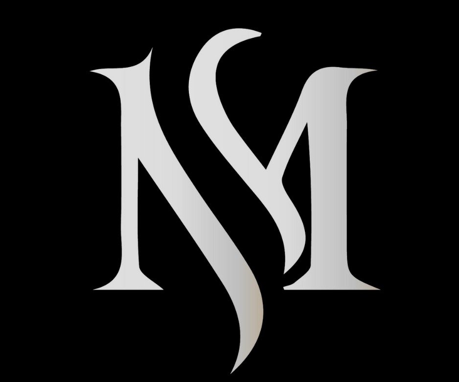 MSN Leathers Private Limited logo