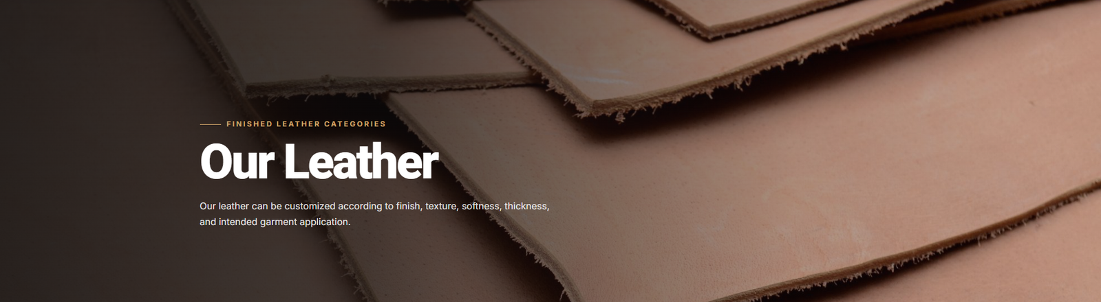 A.S Leather cover photo